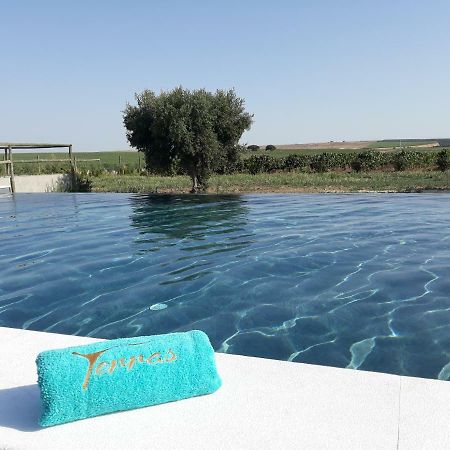 Terras - Agroturismo & Vinhos Beja Dış mekan fotoğraf