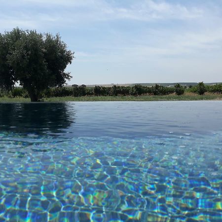 Terras - Agroturismo & Vinhos Beja Dış mekan fotoğraf