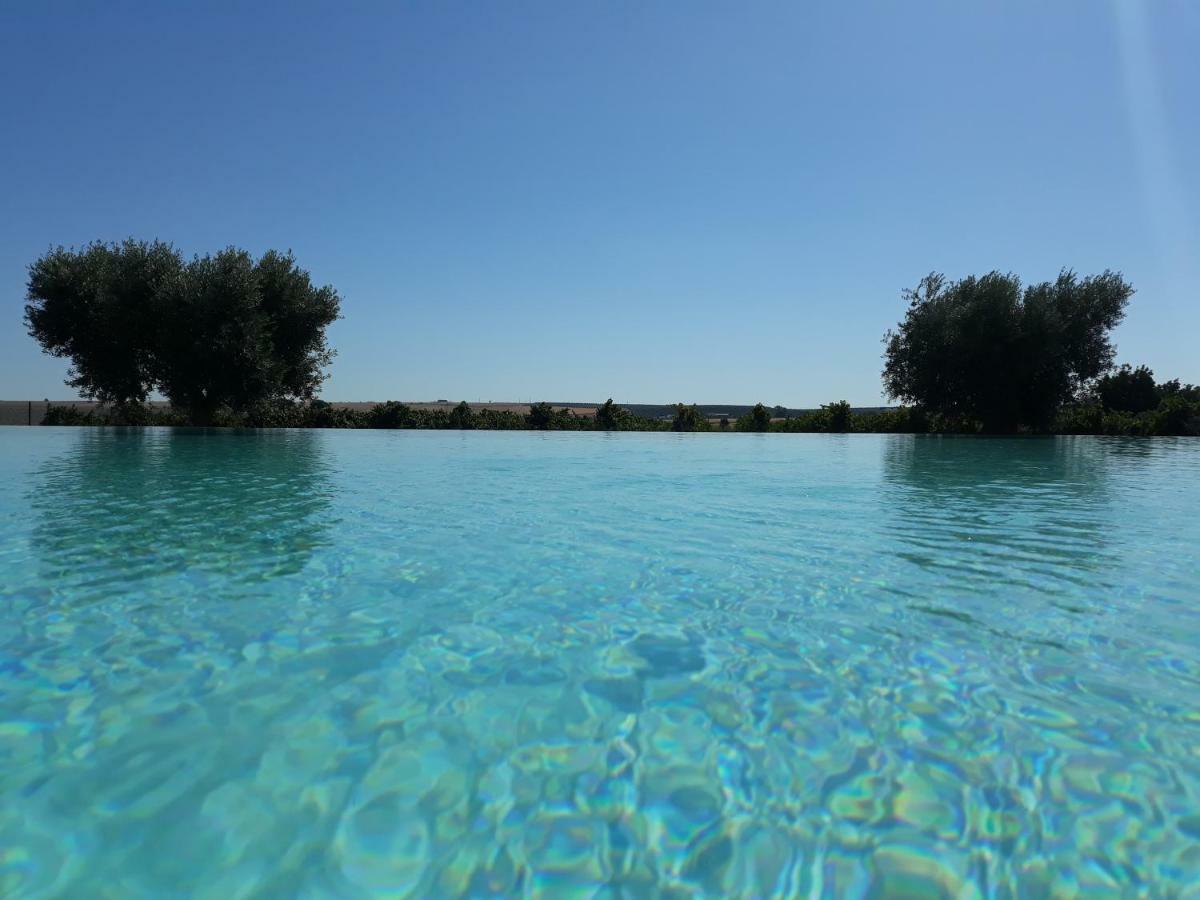 Terras - Agroturismo & Vinhos Beja Dış mekan fotoğraf